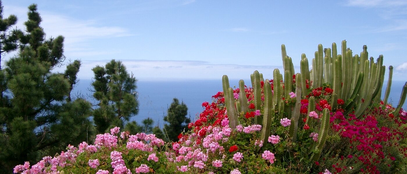 blumen1